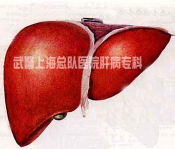 甲肝-郑州肝病医院